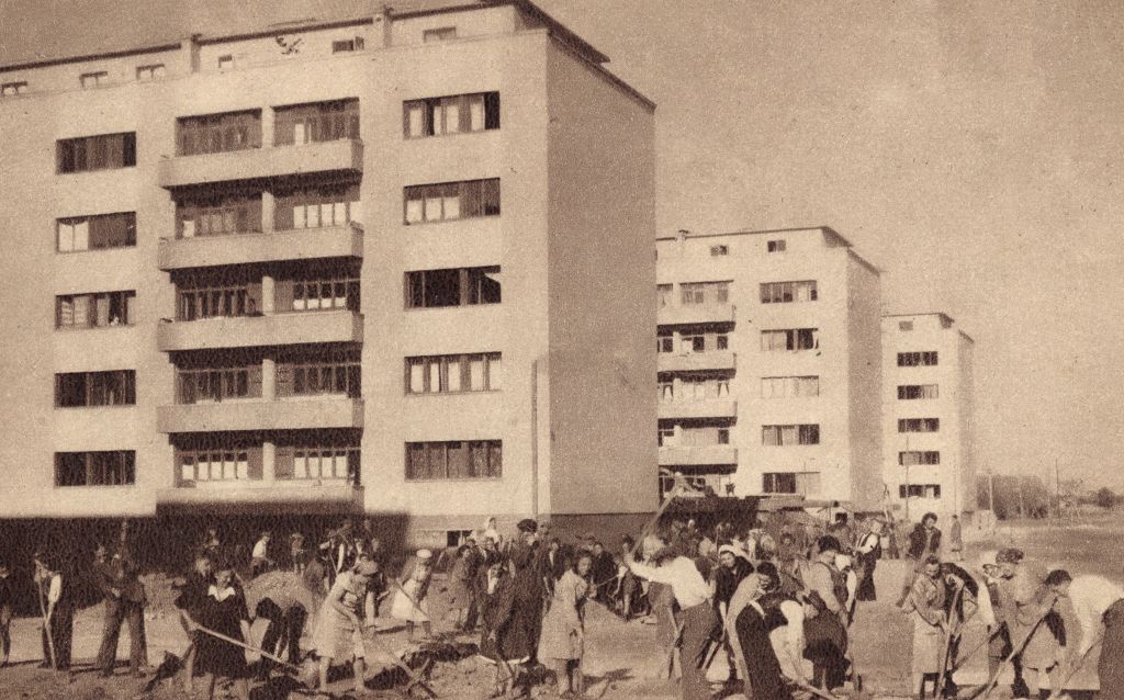 Poljane, Vrbik, 1951. godine